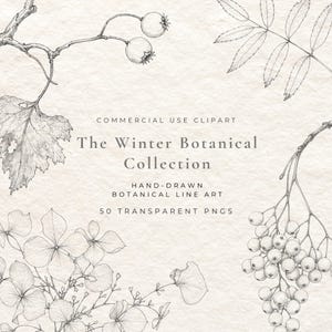 May include: A digital collection of hand-drawn botanical line art featuring black ink illustrations of winter berries, leaves, and flowers on a textured cream background with the text The Winter Botanical Collection Commercial Use Clipart.