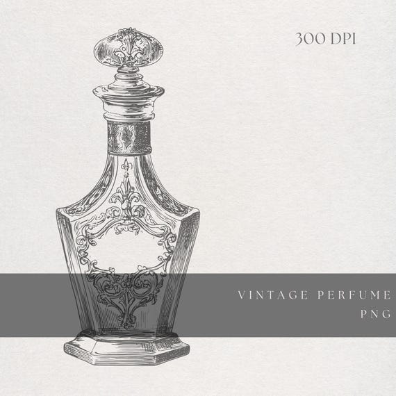 Fine Line Vintage Glass Illustration | Perfume Bottle Clipart PNG |  Transparent Background | Digital Download Vanity Boudoir Art
