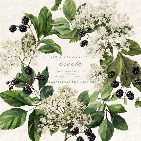 Watercolor Greenery Wreath PNG Clipart, Botanical Transparent Floral Art, Journal Card Digital Download, Commercial Use Scrapbooking