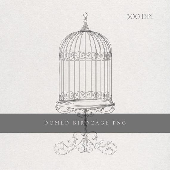 Birdcage Clipart PNG | Fine Line Vintage Domed Cage Illustration | Transparent Background | Digital Download Romantic Aviary Art