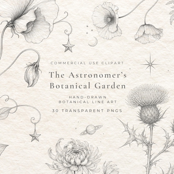Celestial Botanical Clipart Bundle, 30 Fine Line Floral Moon PNG, Vintage Hand Drawn Stars & Flowers, Antique Astral Illustrations