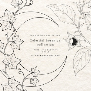 Könnte beinhalten: Eine digitale Grafik mit schwarzen Strichzeichnungen von Efeuranken und einem Halbmond, die den Text umgeben: COMMERCIAL USE CLIPART, Celestial Botanical collection, FINE LINE ELEGANT STYLE, 15 TRANSPARENT PNG, auf einem strukturierten, cremefarbenen Hintergrund.