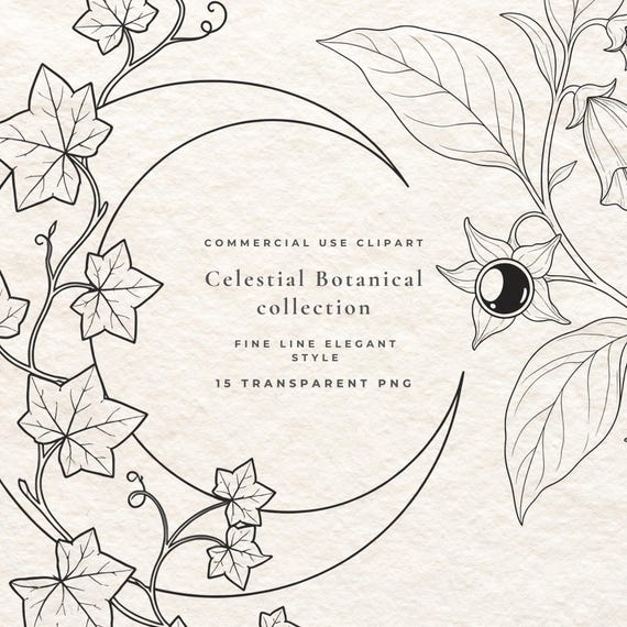 Celestial Botanical Clipart Bundle PNG, 15 Fine Line Moon Branch Illustrations Commercial Use, Mystical Nature Digital Branding Pack