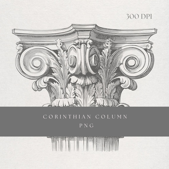 Column Clipart PNG | Fine Line Corinthian Capital Illustration | Transparent Background | Digital Download Classical Architecture Art
