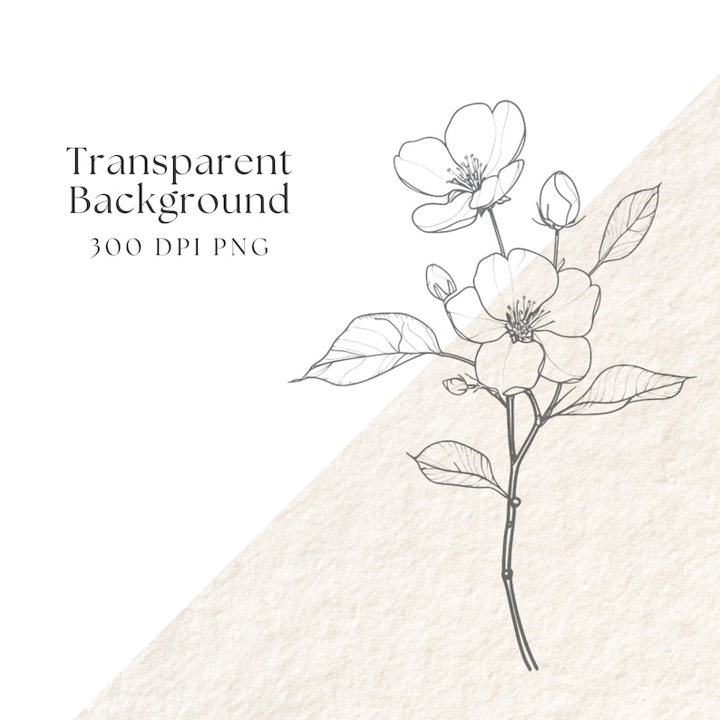 PANEN99 x Alfonso Ramos - Desain Mastermind Identitas Brand Profesional image 8