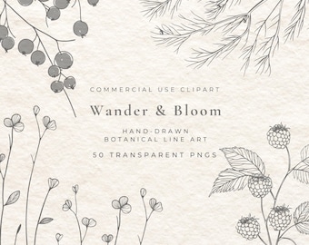 50 Botanical Fine Line Clipart | Herbs, Berries, Pods, Minimal Plant PNG | Line Art Botanical Extras | Wedding Logo Line Art Bundle