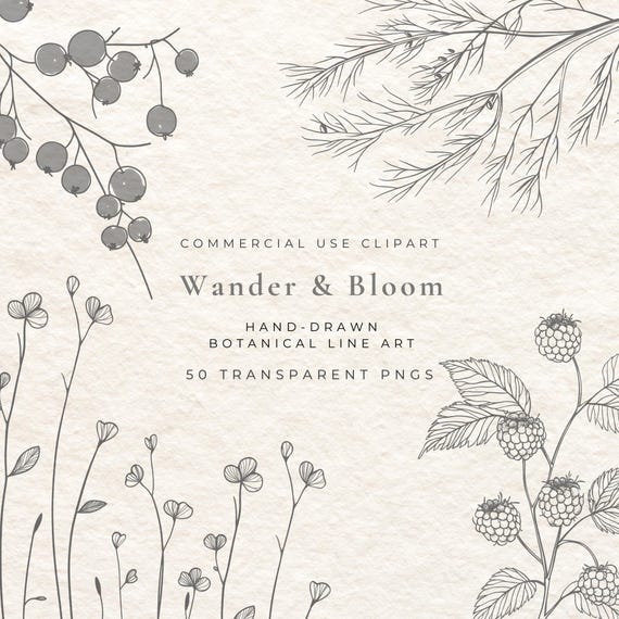 50 Botanical Fine Line Clipart | Herbs, Berries, Pods, Minimal Plant PNG | Line Art Botanical Extras | Wedding Logo Line Art Bundle