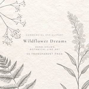 Puede incluir: Un diseño de arte digital con arte lineal botánico de flores silvestres y helechos en tonos grises. El texto dice "Wildflower Dreams" y "Commercial Use Clipart". El diseño incluye 50 PNG transparentes.
