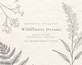 50 imágenes prediseñadas de flores silvestres de líneas finas / PNG botánico dibujado a mano / Flash de tatuajes de flores, elementos de logotipos, arreglos florales para bodas, uso comercial