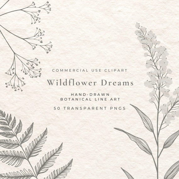 50 Wildflower Fine Line Clipart | Hand-Drawn Botanical PNG | Flower Tattoo Flash, Logo Elements, Wedding Floral, Commercial Use