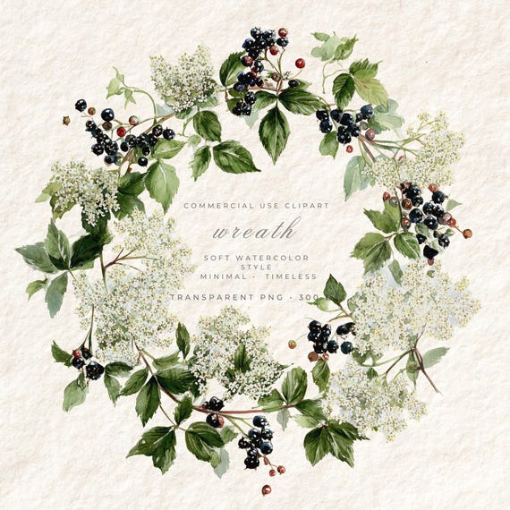 Elderflower Wreath PNG Clipart, Botanical Transparent Floral Art, Journal Card Digital Download, Commercial Use Scrapbooking