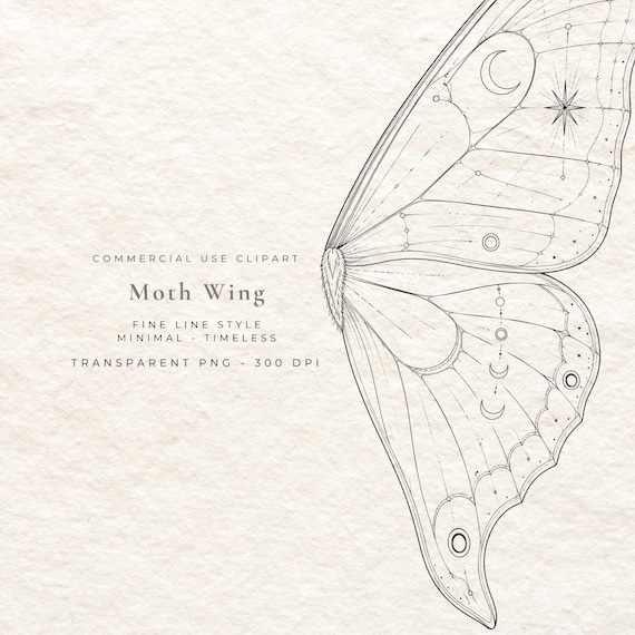 Moth Wing Clipart PNG, Anatomical Fine Line Insect Wing Digital Download, Dark Academia Naturalist Art, Wall Art Printable File