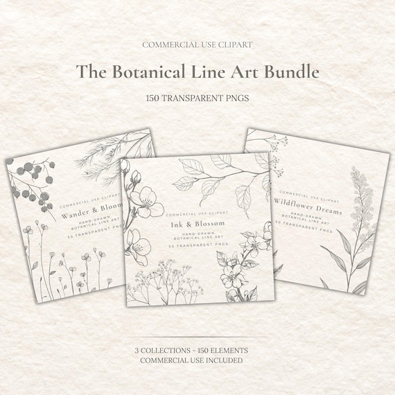 The Botanical Line Art Collection | 150 Transparent PNG Clipart | Hand-Drawn Fine Line Botanicals | Commercial Use