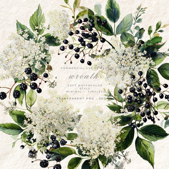 Elderflower Watercolor Wreath PNG Clipart, Wildflower Floral Transparent Background, Digital Download Boho Art, Commercial Use
