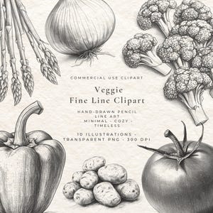 Op de afbeelding: Een zwart-wit illustratie van diverse groenten, waaronder asperges, een ui, broccoli, een paprika, aardappelen en een tomaat. De tekst "Veggie Fine Line Clipart" is ook aanwezig.