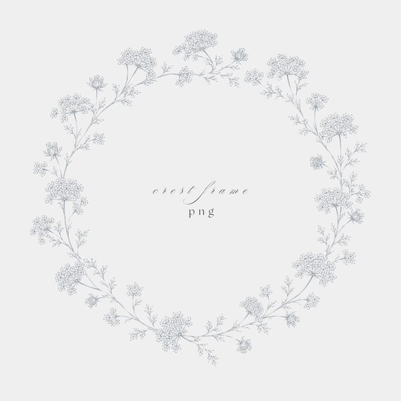 Queen Anne Lace Frame PNG | Fine Line Pencil Clipart | Wedding Stationery | Transparent | 300 DPI