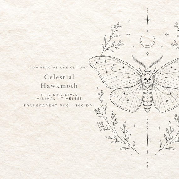 Hawk Moth Clipart PNG, Fine Line Moth Digital Download, Dark Academia Insect Illustration, Gothic Botanical Wall Art Printable File