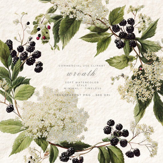 Wildflower Watercolor Wreath PNG Clipart, ElderflowerFloral Transparent Background, Digital Download Botanical Art, Commercial Use