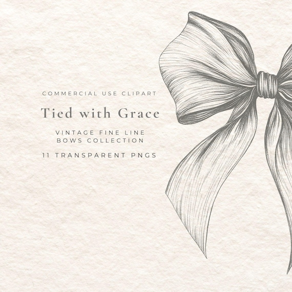 Bow Clipart Set | Fine Line Hand-Drawn PNGs | Vintage | Invitations, Logos, Sublimation, Branding