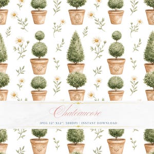 May include: A seamless pattern featuring watercolor illustrations of topiary trees in terracotta pots, daisies, and sprigs of greenery on a white background. The text "Chateaucore" is displayed in a banner across the image.