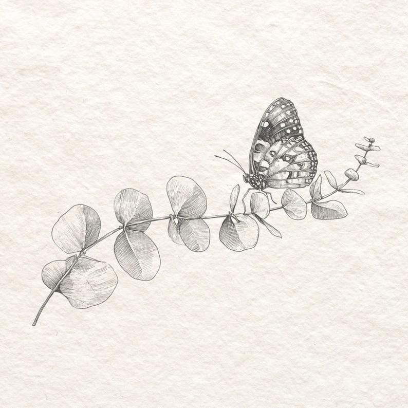 Fineliner Insects Fine Line Insect Clipart Bundle, Botanical Butterfly Moth Dragonfly ...