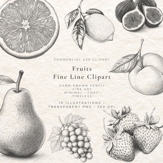 Fruit Sketch Clipart Set, Hand-Drawn Pencil Line Art (PNG Digital Download)