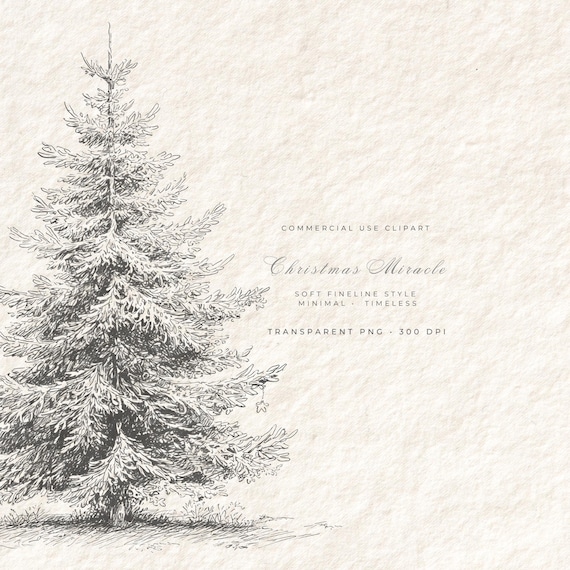 Minimal Christmas Tree Clipart PNG, Elegant Line Art Tree, Scandinavian Holiday Decor, Modern Winter Clipart, Transparent PNG 300 DPI