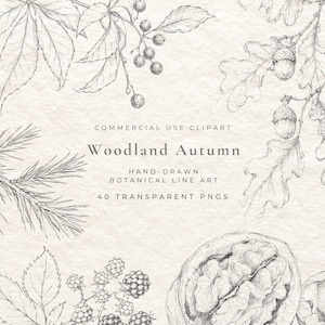 Könnte beinhalten: Eine digitale Sammlung botanischer Strichzeichnungen in Schwarz-Weiß mit handgezeichneten Illustrationen von Eichenblättern, Eicheln, Kiefernnadeln, Beeren und einer Walnuss. Der Text lautet: COMMERCIAL USE CLIPART Woodland Autumn HAND-DRAWN BOTANICAL LINE ART 40 TRANSPARENT PNGS.