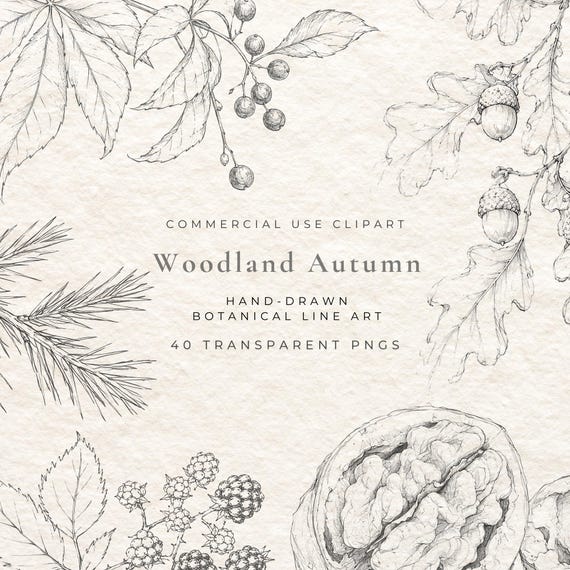 Woodland Autumn Botanical Clipart, Fine Line Fall Forest Illustrations, Hand Drawn Mushroom Berry PNG, Nature Scrapbook Journal Elements