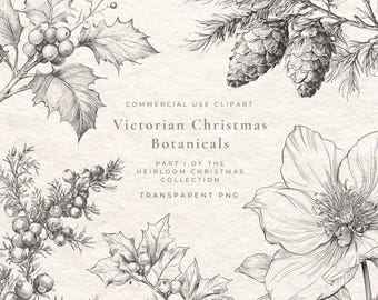 Christmas Botanicals Clipart PNG, Vintage Holiday Greenery, Winter Floral Bundle, Antique Botanical Illustrations, Commercial Use