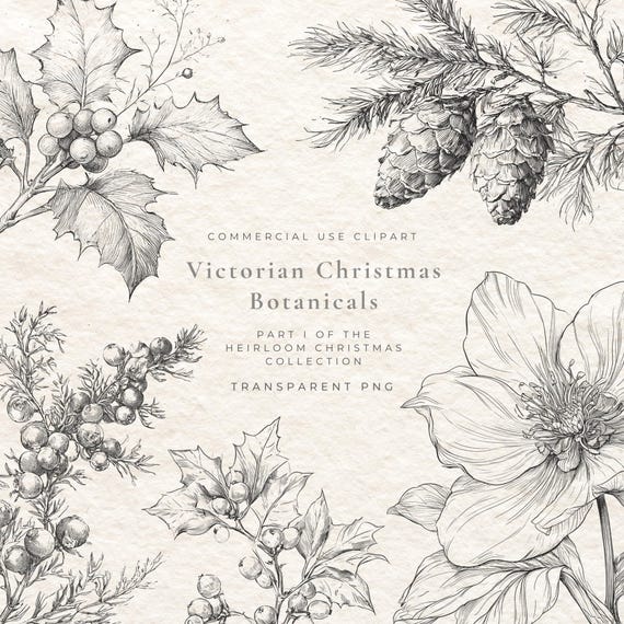 Christmas Botanicals Clipart PNG, Vintage Holiday Greenery, Winter Floral Bundle, Antique Botanical Illustrations, Commercial Use