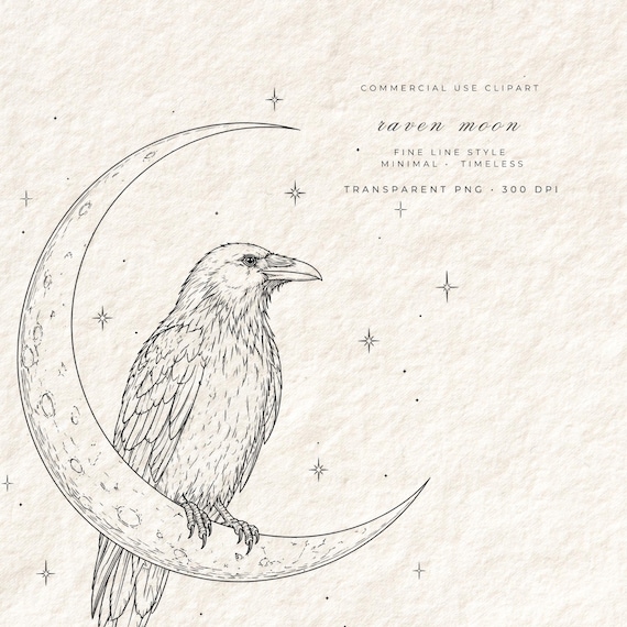 Raven Moon Clipart PNG | Fine Line Raven on Crescent Moon | Celestial Bird Illustration | Transparent Background | Witchy Digital Download