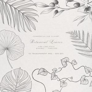 Puede incluir: Ilustración digital con varias hojas botánicas en un estilo de línea fina. La imagen incluye hojas de palma, helechos y otro follaje, con el texto "Botanical Leaves" y "Commercial Use Clipart".