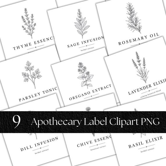 Herb Botanical Clipart PNG Bundle, Fine Line Apothecary DesignTransparent Background, 9 Culinary Herbs Digital Download Commercial Use