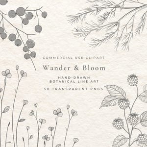 50 Botanische Fine Line Clipart | Kräuter, Beeren, Hülsen, Minimal Pflanze PNG | Line Art Botanische Extras | Hochzeit Logo Line Art Bundle