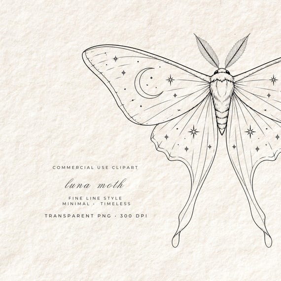 Luna Moth Clipart PNG | Fine Line Celestial Moth Illustration | Moon & Stars Wings | Transparent Background | Witchy Digital Download