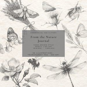 May include: A collection of black and white pencil illustrations featuring insects and botanical elements including a moth, beetle, butterfly, dragonfly, bumblebee, lavender, and flowers with text reading From the Nature Journal.