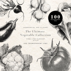 Pode incluir: Uma coleção digital de 100 ilustrações de vegetais em estilo de linha fina, apresentando beterraba, alho, berinjela, alface, couve-flor e tomate. O texto diz: 100 TRANSPARENT PNG, COMMERCIAL USE CLIPART, The Ultimate Vegetable Collection.