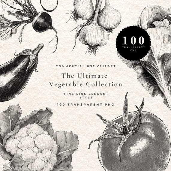 Vegetable Clipart PNG Bundle, Botanical Vegetable Clipart, Fine Line Vegetables, Vintage Garden Illustrations, Commercial Use, 100 PNG