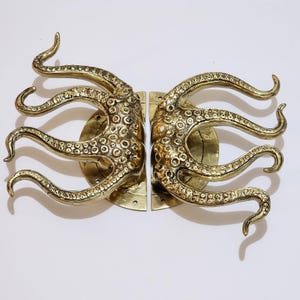 May include: Two brass octopus-shaped door handles. Each handle features eight tentacles with detailed suckers, mounted on a circular backplate. The handles are a warm gold color, adding a unique nautical or fantasy theme to any door.