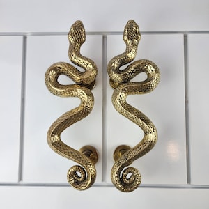 Può includere: Due maniglie per porte color ottone a forma di serpente. Le maniglie sono dettagliate con squame e hanno un design a coda arrotolata. Sono montate su una porta bianca con pannelli verticali.
