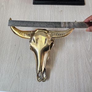 May include: A brass bull skull wall decor. The horns span approximately 12 inches. The skull is a shiny gold color and has detailed features. The horns are curved and pointed. The skull is a decorative item.