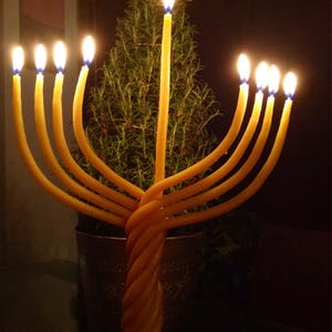 beeswax Hanukkah Menorah candle Hanukkah candles Jewish holiday gift Hanukkah gift image 2