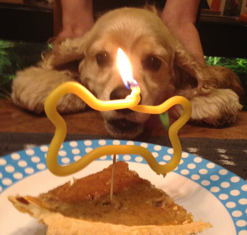 Doggy bone candle pure beeswax dog bone dog birthday Etsy
