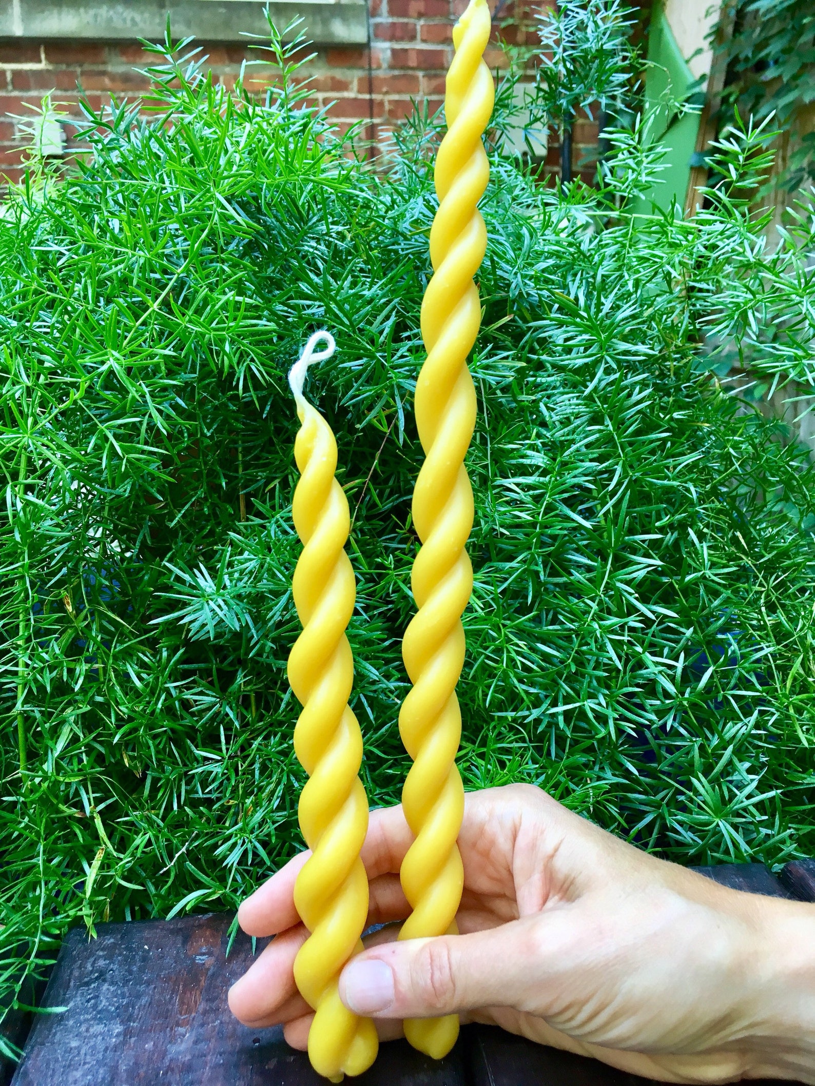 Beeswax Taper Candle Twisted Beeswax Candle Dinner Candle Etsy