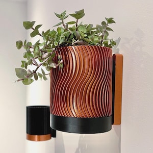 Può includere: Una fioriera decorativa, montata a parete, con un design ondulato marrone-rossastro, che contiene piante verdi a foglia. La fioriera ha una base nera ed è montata su un supporto in legno. È visibile anche una fioriera più piccola, nera e color rame.