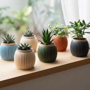 Puede incluir: Una colección de pequeñas macetas acanaladas en varios colores, incluyendo azul, beige, verde, naranja y gris, cada una con una planta suculenta diferente. Las macetas están dispuestas en un alféizar de madera, con una ventana brillante y una cortina transparente en el fondo.