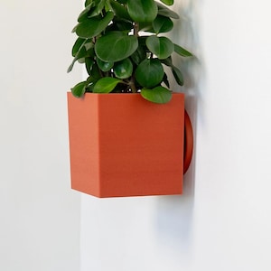 Puede incluir: Una jardinera de pared cuadrada de color terracota con un soporte colgante circular. La jardinera contiene una planta verde vibrante con hojas redondeadas. La jardinera está montada en una pared blanca, creando una estética minimalista.
