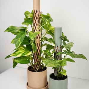 Pode incluir: Duas plantas em vasos com suportes. O vaso maior é bege, o menor é verde. Os suportes são cilíndricos com um design vazado em forma de diamante. As plantas têm folhas verdes e amarelas.