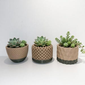 Könnte beinhalten: Drei Sukkulenten in beigefarbenen Töpfen mit dunkelgrünen Basen. Die Töpfe haben verschiedene geometrische Muster. Die Sukkulenten sind in verschiedenen Grüntönen gehalten. Die Töpfe haben diagonale Linien, ein Gittermuster und ein facettiertes Design.